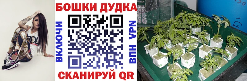 Названия наркотиков Электросталь ГАШ KRAKEN рабочий сайт Мефедрон БУТИРАТ