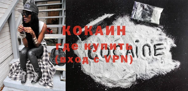 шишки Майский