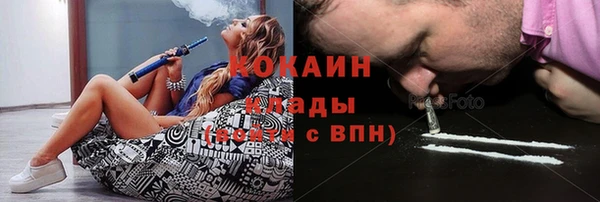 крисы Магас