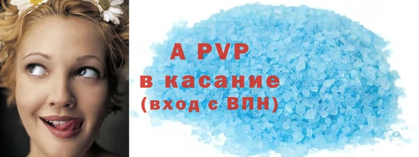 крисы Магас