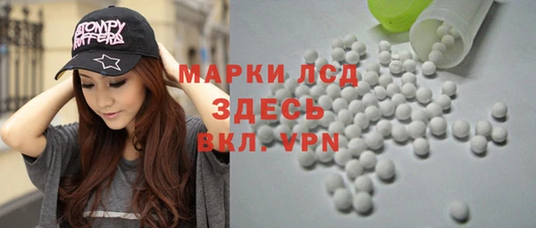 крисы Магас