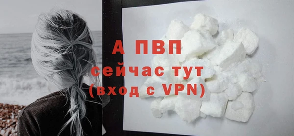 крисы Магас