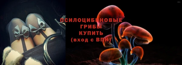 ГАЛЛЮЦИНОГЕННЫЕ ГРИБЫ Магадан