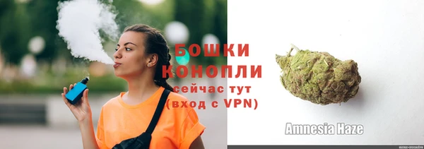 шишки Майский