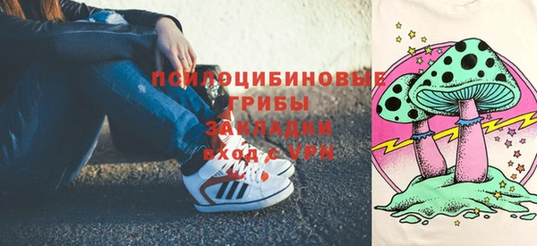 крисы Магас