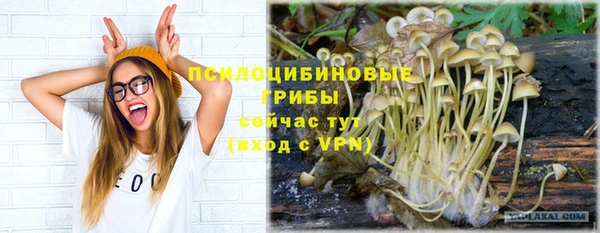 ГАЛЛЮЦИНОГЕННЫЕ ГРИБЫ Магадан