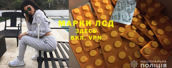 шишки Майский