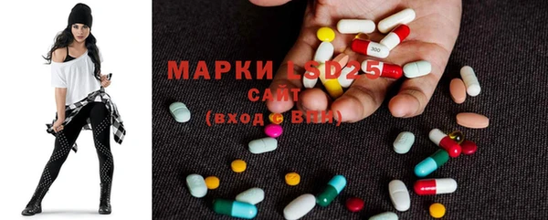 шишки Майский