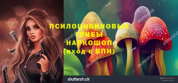 крисы Магас