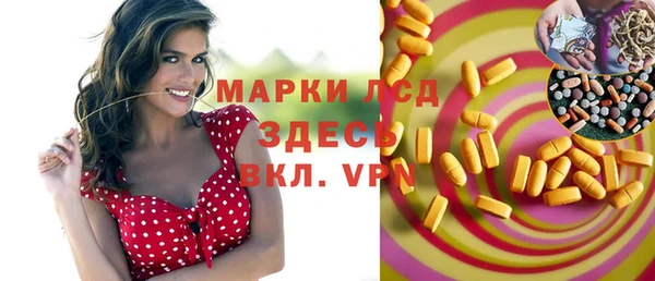 шишки Майский