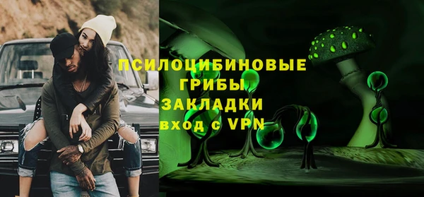 крисы Магас