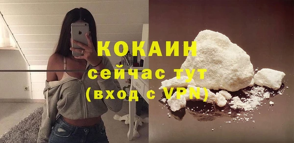 крисы Магас
