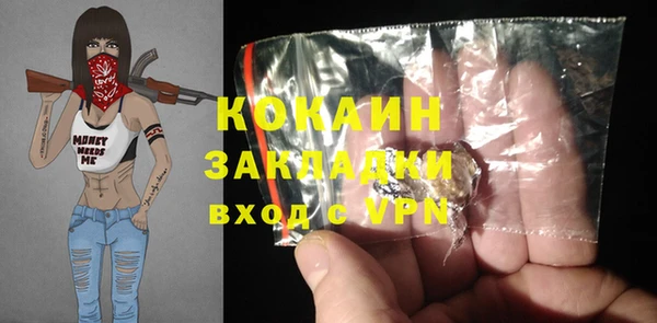 шишки Майский
