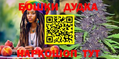 прущий лед Будённовск