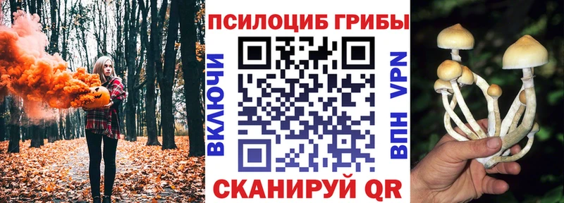 блэк спрут ссылка  купить   Электросталь  Псилоцибиновые грибы прущие грибы 