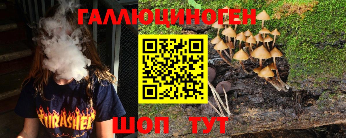 Псилоцибиновые грибы Psilocybine cubensis  Псилоцибиновые грибы Psilocybe  Вход с VPN  Электросталь 
