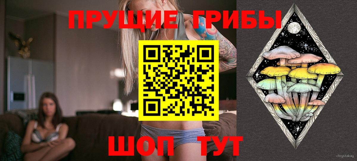 Псилоцибиновые грибы Magic Shrooms  Электросталь 